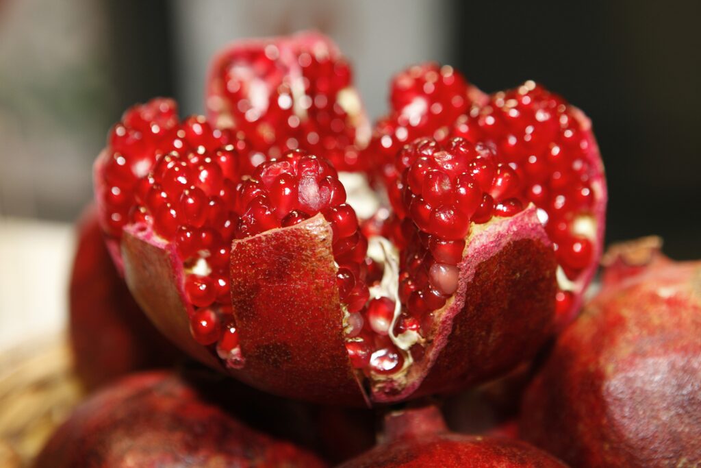 can dogs eat pomegranates?
